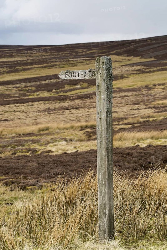 Lichen covered footpath sign on heather moorland