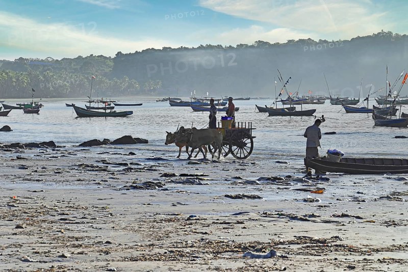 Harbour