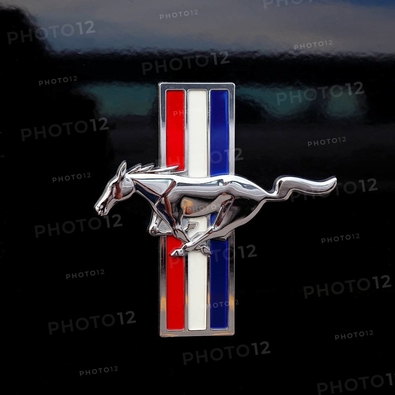 Car emblem
