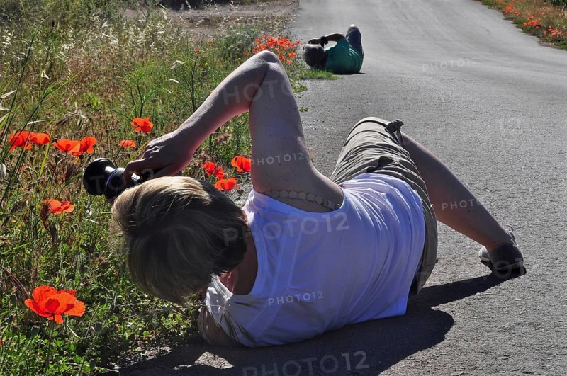 Women lying on the ground photographing poppies