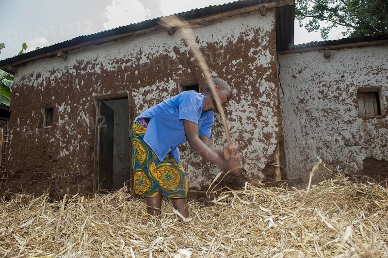 Children threshing crop of beans with sticks