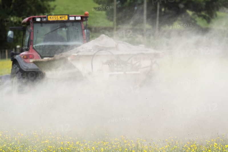 Spreading lime on an Dales dillower meadow to increase the soils fertility. Yorkshire Dales