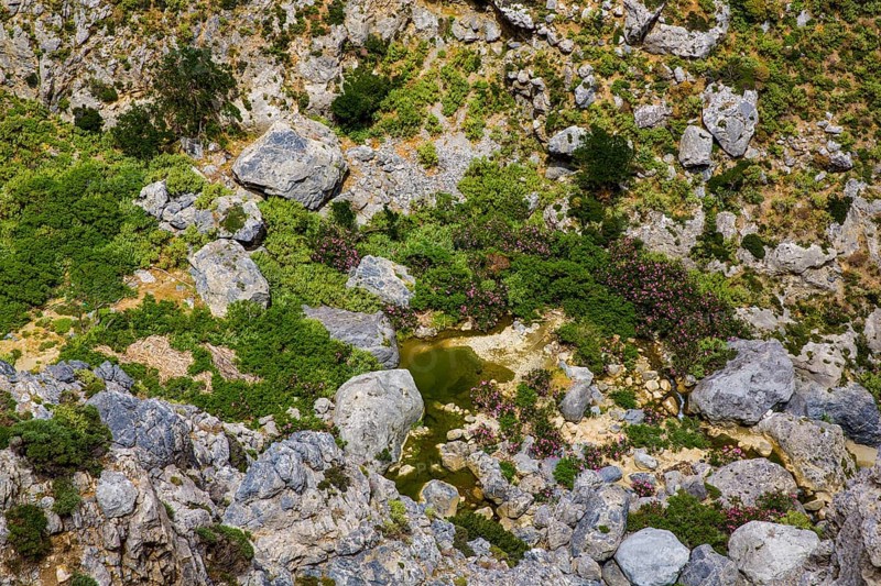 Megalopotamos streambed in Kourtalioiko gorge