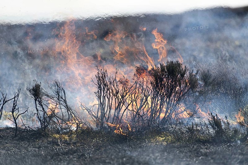 Heather burning on a Grouse Moor in the Yorkshire Dales