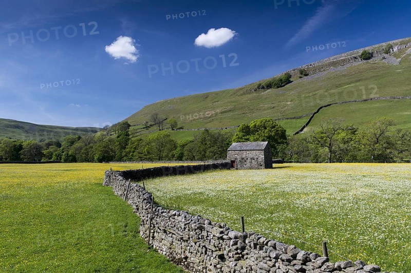 Wildflower meadows in bloom