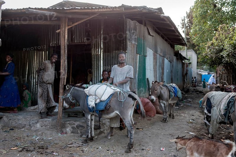 Donkey packing station