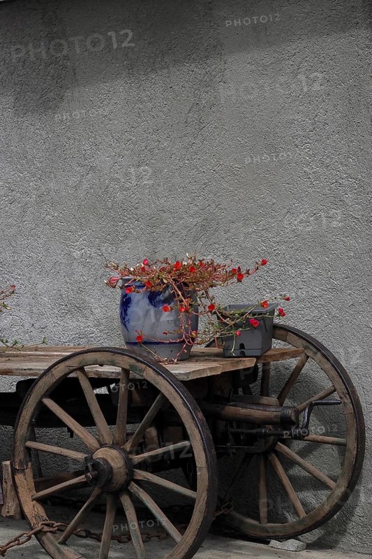 Still life with wooden wagon and planted clay pot