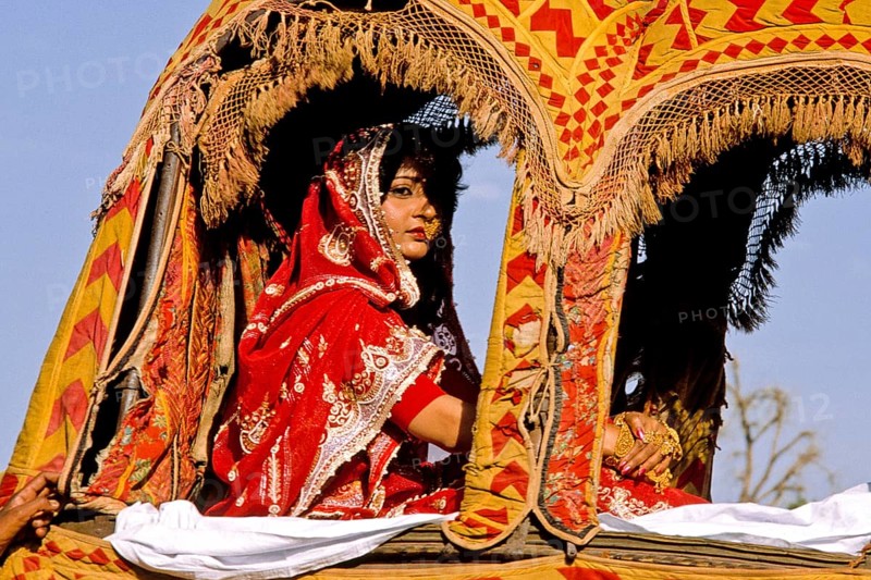Festive parades with camels and elephants