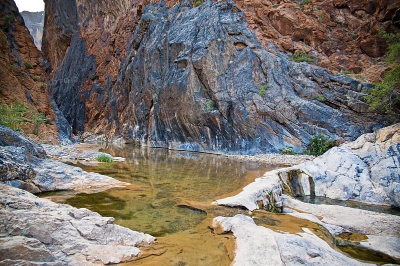 Oasis
