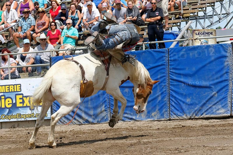 Rodeo competition