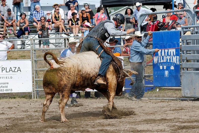 Rodeo