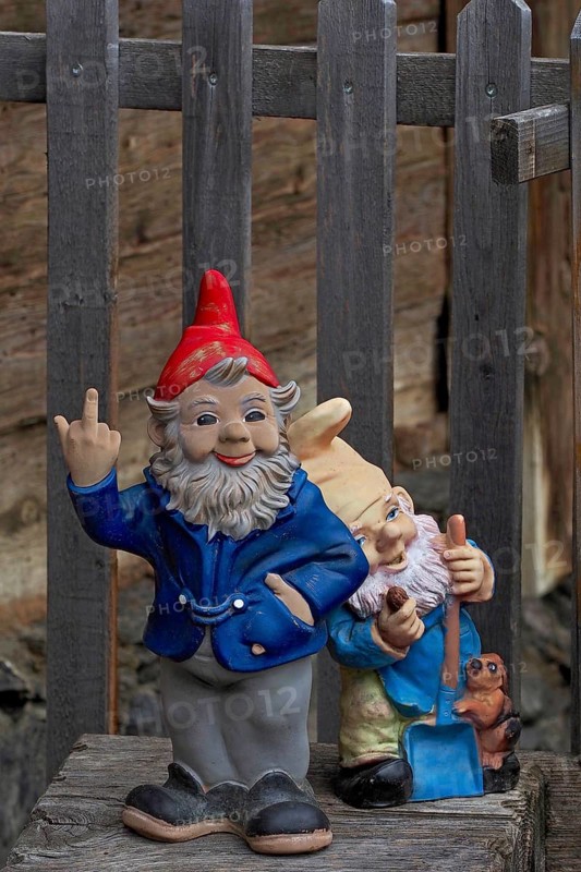 Garden gnome gives the finger