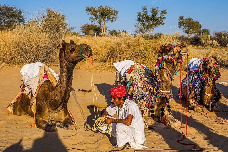 Horseback riding on dromedaries