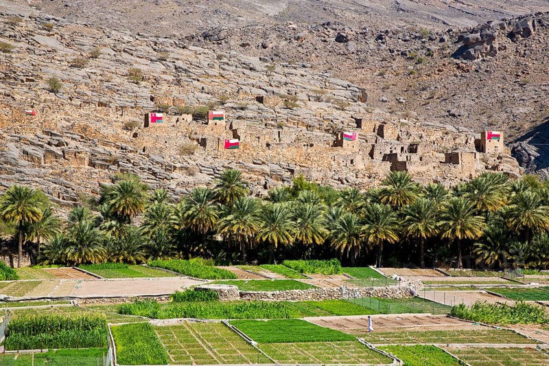 Oasis on the mountain massif of Jabal Akhdar