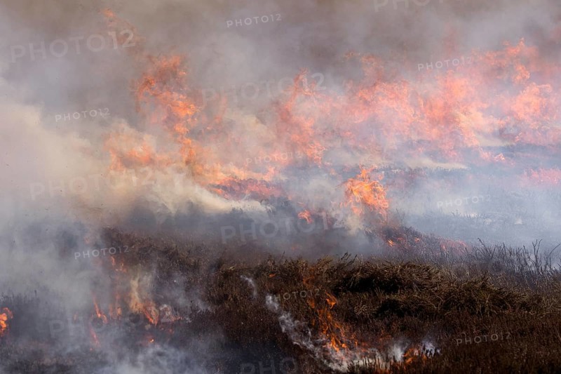 Heather burning on a Grouse Moor in the Yorkshire Dales