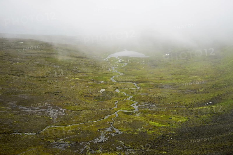 Hornvik