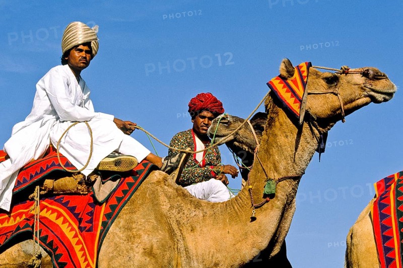 Festive parades with camels and elephants