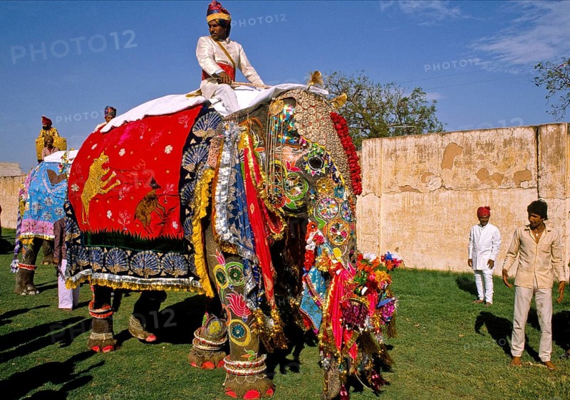Festive parades with camels and elephants