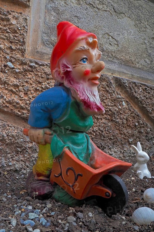 Garden gnome with wheelbarrow