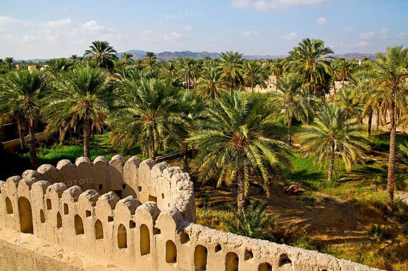 View of fortress wall and oasis from Nizwa Fort