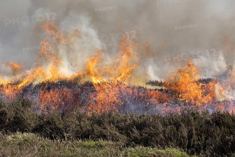 Heather burning on a Grouse Moor in the Yorkshire Dales