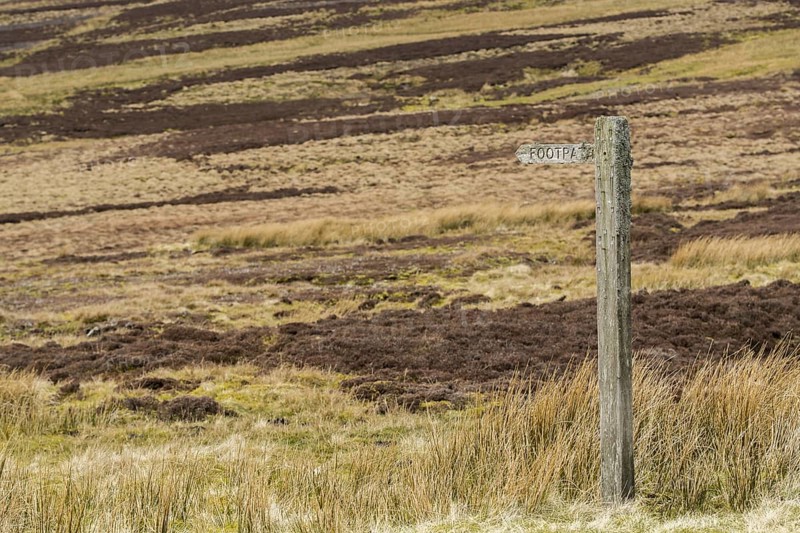 Lichen covered footpath sign on heather moorland