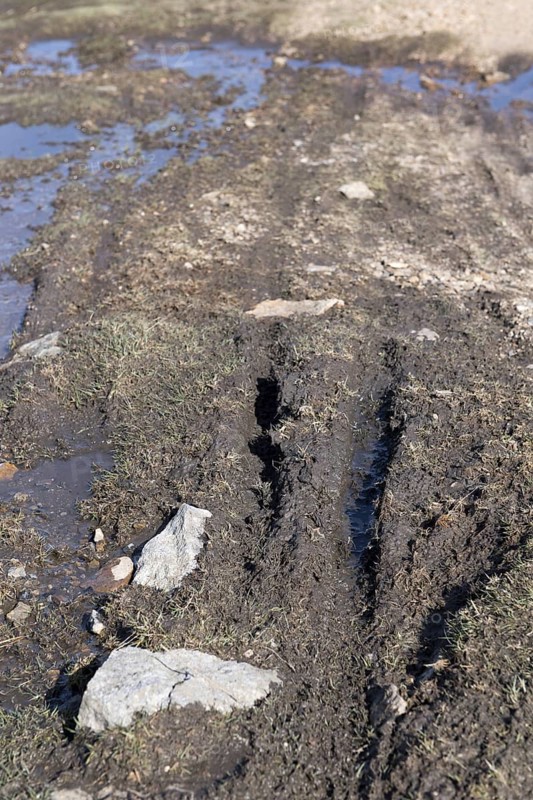 Erosion damage on an upland moor from vehicles and walkers. Swaledale