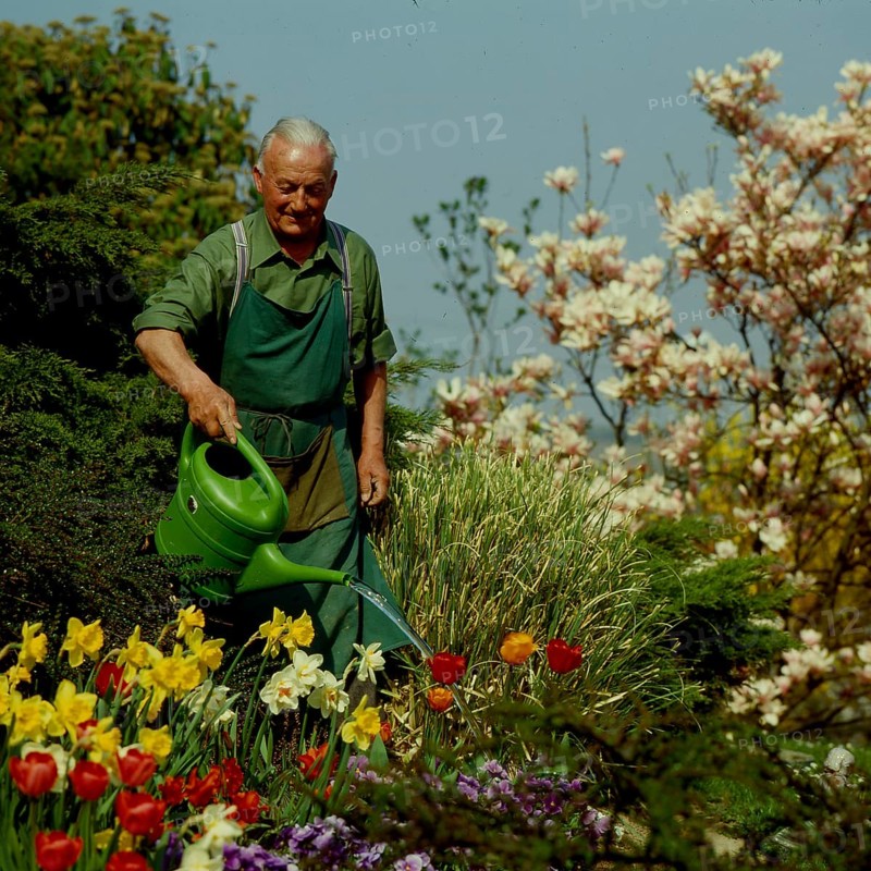 Amateur gardener watering