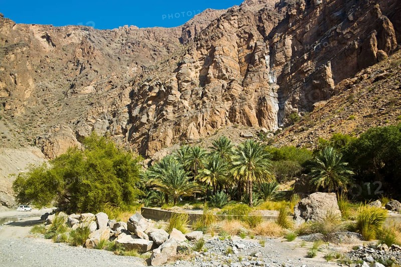 Oasis