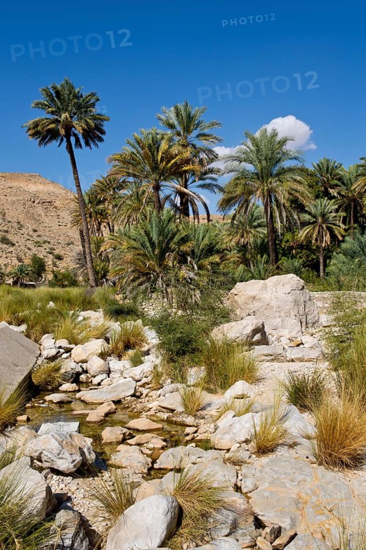 Paradise Wadi Bani Khalid
