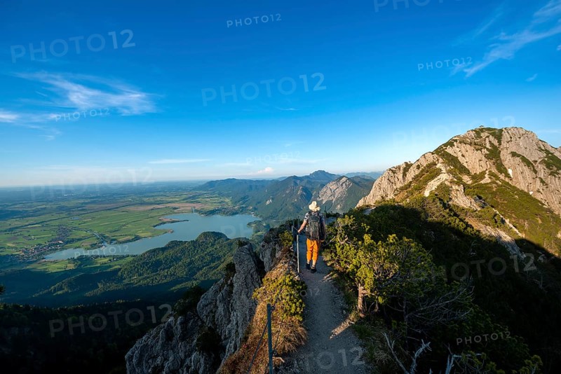 Hiker on a hiking trail between mountain pines