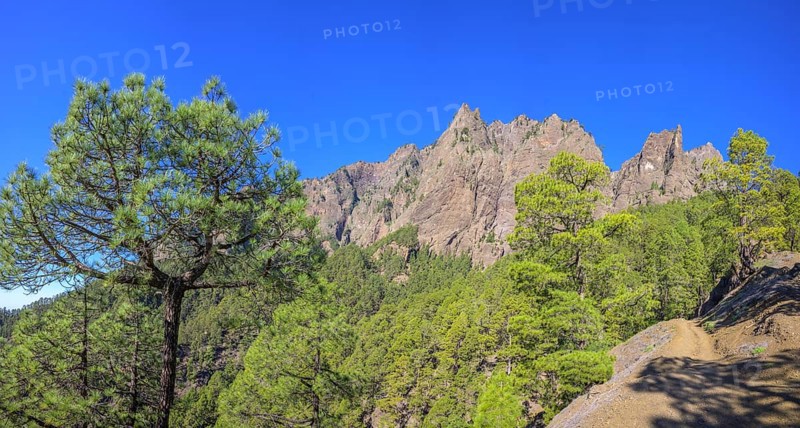 Mirador del Lomo de Tagasaste
