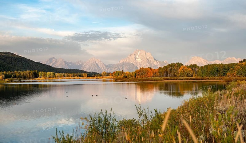 Mount Moran reflected in Snake River