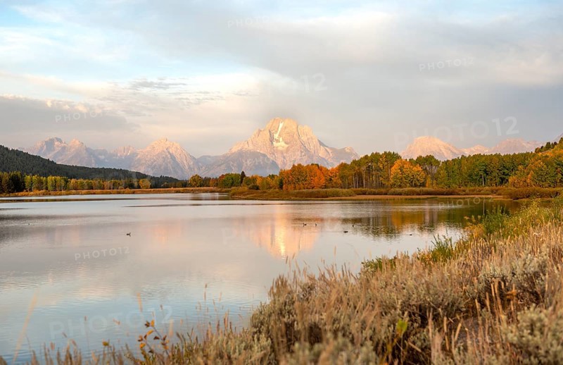 Mount Moran reflected in Snake River