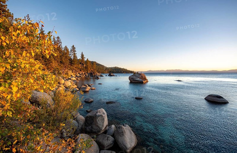 Bonsai Rock