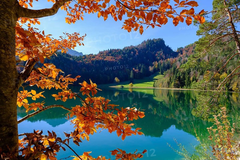 Alatsee near Fuessen