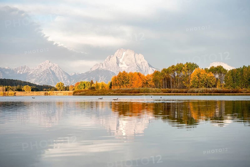 Mount Moran reflected in Snake River
