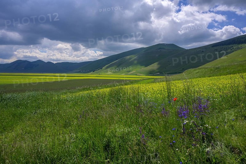 Pan Grande plateau in the Monti Sibillini National Park