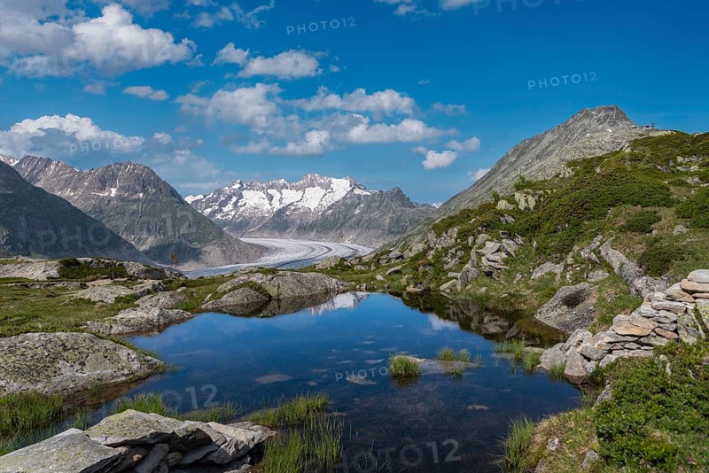 Small mountain lake with Bettmerhorn