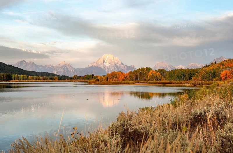 Mount Moran reflected in Snake River