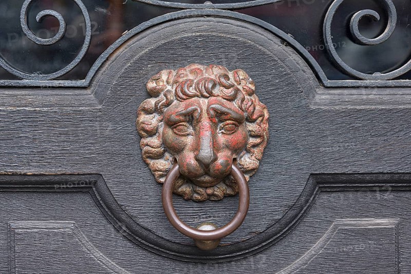 Lion's head as a door knocker on a gate from 1885