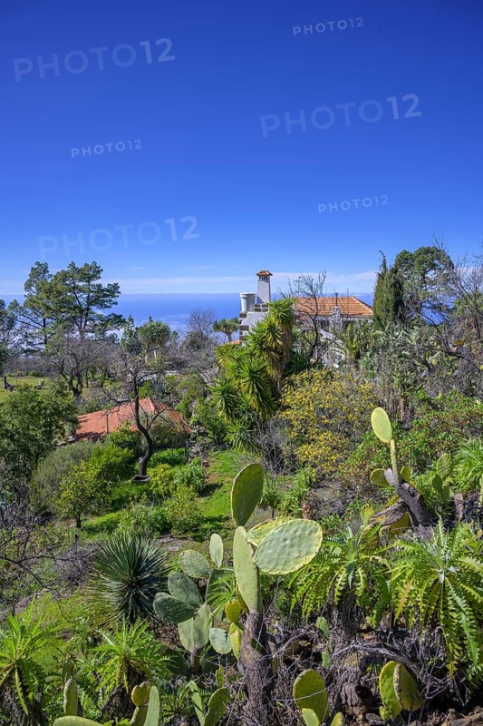 Villa with magnificent garden