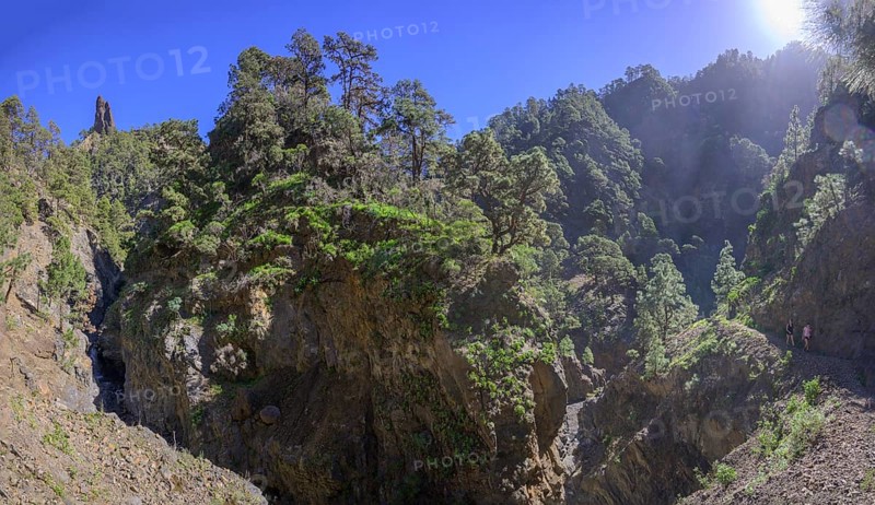 Barranco del Almendro Amargo