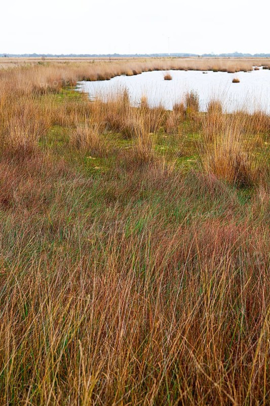 Landscape photograph Stapeler Moor