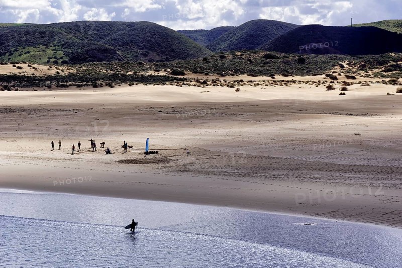 Windsurfers
