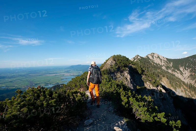 Hiker on a hiking trail between mountain pines