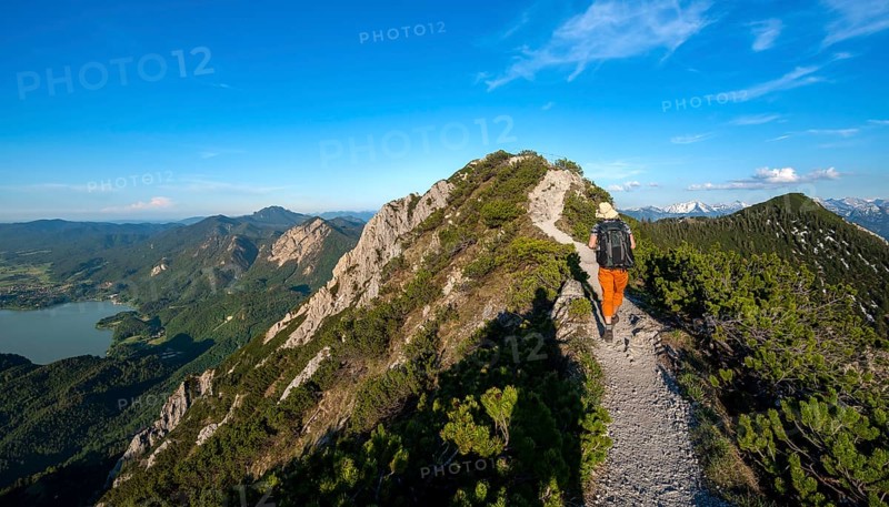 Hiker on a hiking trail between mountain pines