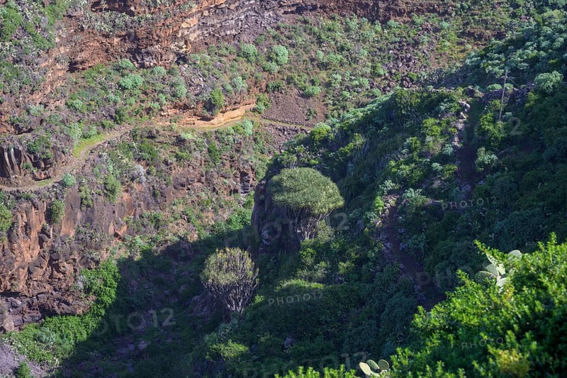 View from Mirador El Chorro