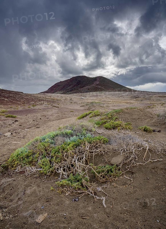 Barren ground vegetation and behind it the mountain Montana Roja