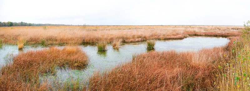 Panorama Stapeler Moor
